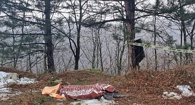 Devrilen ağacın altında kalan işçi öldü