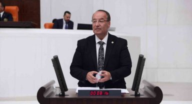 Milletvekili Akay, Ovacık'taki tarihi eser tahribatını TBMM'ye taşıdı