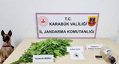 Jandarmadan uyuşturucu operasyonu