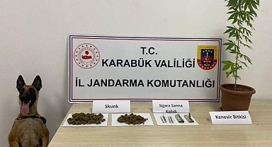 Jandarmadan uyuşturucu operasyonu