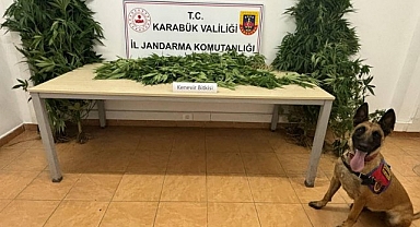 Jandarmadan uyuşturucu operasyonu