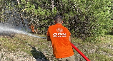 Karabük'teki orman yangını kısmen kontrol altına alındı