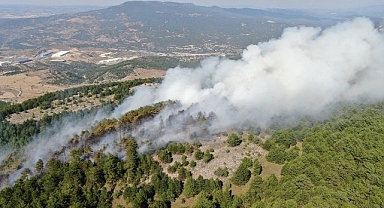 Karabük'teki orman yangınında alevler yayılıyor