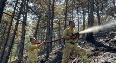 Karabük'te orman yangınında 7 hektar alan zarar gördü
