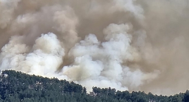 Karabük'te orman yangını