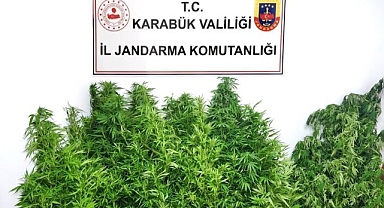 Kenevir operasyonunda 1 tutuklama