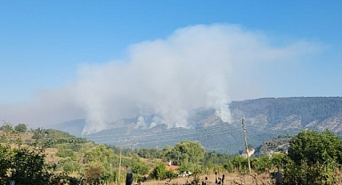 Orman yangınını söndürme çalışmaları 22 saattir sürüyor