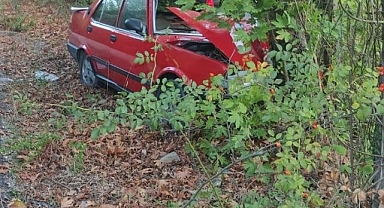 Ağaca çarpan otomobildeki 2 kişi yaralandı