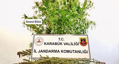 Karabük'te evde kenevir ve esrar bulundu