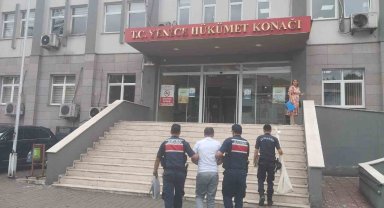 Kenevir bitkisi yetiştiren baba ve oğlu tutuklandı