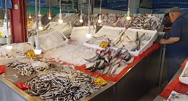 Palamut 40, hamsi 250 liradan tezgahtaki yerini aldı