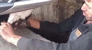 Şapkadan değil, motordan tavşan çıkarttı