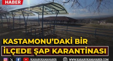 Kastamonu'daki bir ilçede şap karantinası