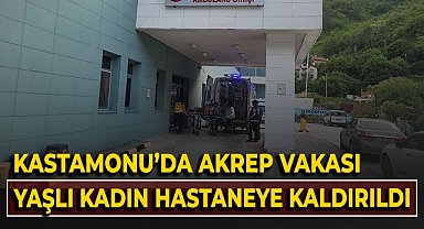 Kastamonu'da akrep vakası, yaşlı kadın hastaneye kaldırıldı