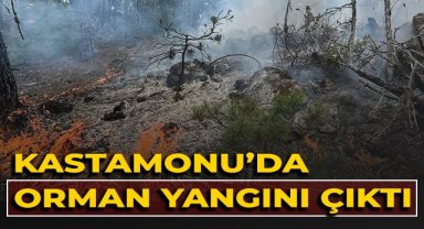 Kastamonu'da orman yangını çıktı