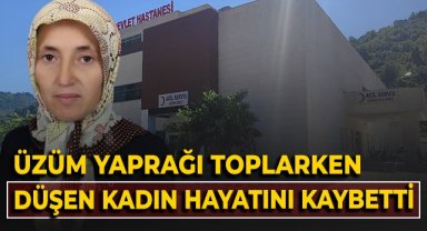 Üzüm yaprağı toplarken düşen kadın hayatını kaybetti
