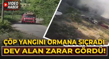 Çöp yangını ormana sıçradı. Dev alan zarar gördü!