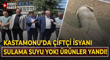 Kastamonu'da çiftçi isyanı, sulama suyu yok! Ekinler yandı!