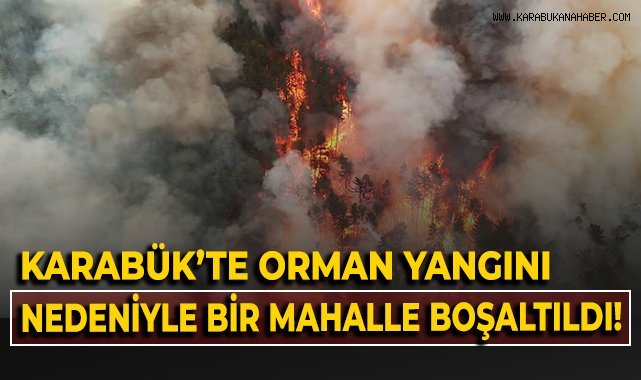 Karabük'te orman yangını nedeniyle bir mahalle boşaltıldı