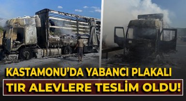Kastamonu'da yabancı plakalı tır alevlere teslim oldu!