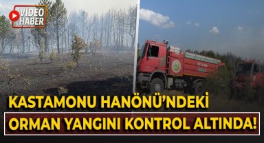 Kastamonu Hanönü'ndeki orman yangını kontrol altında!