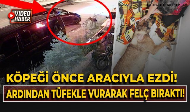 Köpeği önce aracıyla ezmeye çalıştı ardından tüfekle vurarak felç bıraktı