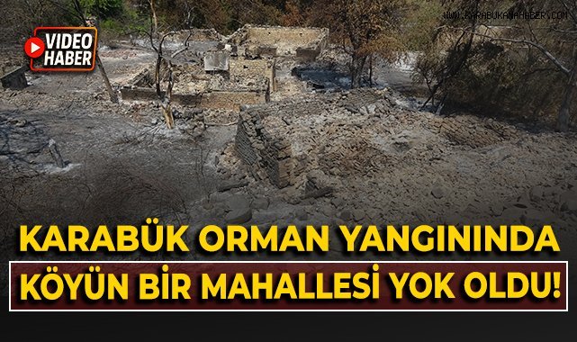 Orman yangınında köyün bir mahallesi yok oldu
