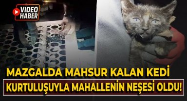 Mazgalda mahsur kalan kedi kurtuluşuyla mahallenin neşesi oldu!