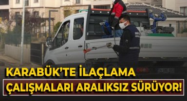Karabük'te ilaçlama çalışmaları aralıksız sürdürüyor
