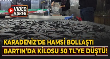 Karadeniz'de hamsi bollaştı, Bartın'da kilosu 50TL'ye düştü