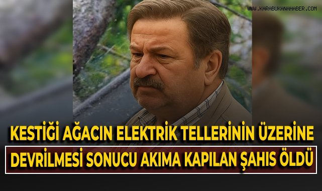 Kestiği ağacın elektrik tellerinin üzerine devrilmesi sonucu akıma kapılan şahıs öldü