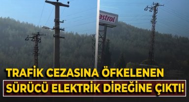 Trafik cezasına öfkelenen sürücü elektrik direğine çıktı