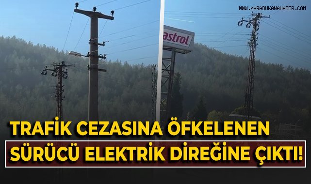 Trafik cezasına öfkelenen sürücü elektrik direğine çıktı