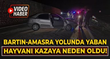 Bartın-Amasra yolunda yaban hayvanı kazaya neden oldu!