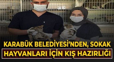 Karabük Belediyesi'nden, sokak hayvanları için kış hazırlığı!