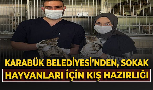 Karabük Belediyesi'nden, sokak hayvanları için kış hazırlığı!