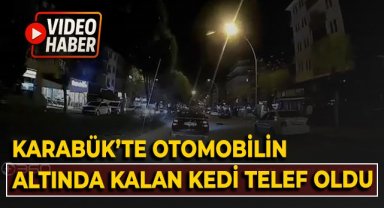 Karabük'te otomobilin altında kalan kedi telef oldu