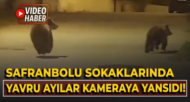 Safranbolu Sokaklarında yavru ayılar kameraya yansıdı!