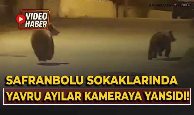 Safranbolu Sokaklarında yavru ayılar kameraya yansıdı!