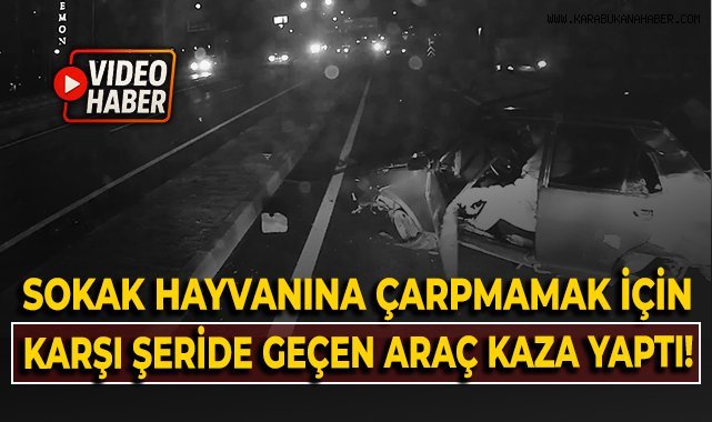 Sokak hayvanına çarpmamak için karşı şeride geçen araç kaza yaptı!