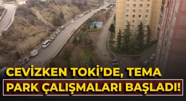 Cevizkent TOKİ'de, TEMA Park çalışmaları başladı!