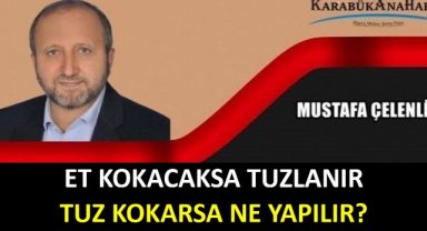 ET KOKACAKSA TUZLANIR, TUZ KOKARSA NE YAPILIR?