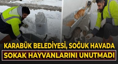 KARABÜK BELEDİYESİ, SOĞUK HAVADA SOKAK HAYVANLARINI UNUTMADI