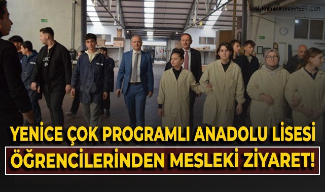 Yenice Çok Programlı Anadolu Lisesi öğrencilerinden mesleki ziyaret!