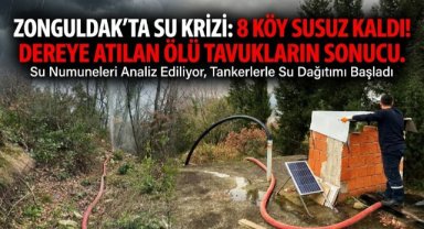 Alaplı'da dereye atılan ölü tavuklar nedeniyle 8 köy susuz kaldı