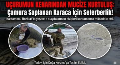 Çamura saplanan karaca için ekipler seferber oldu