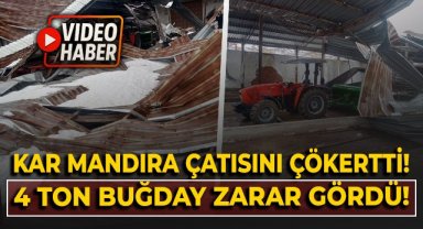 Kar birikintisi mandıra çatısını çökertti: 4 ton buğday zarar gördü