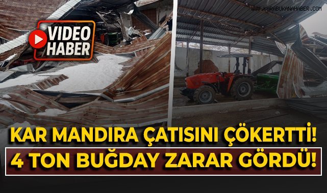 Kar birikintisi mandıra çatısını çökertti: 4 ton buğday zarar gördü