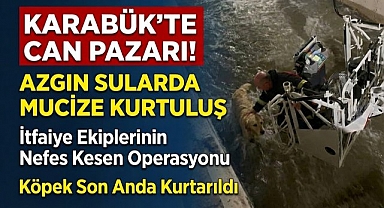 Karabük'te su kanalına düşen köpeği itfaiye kurtardı