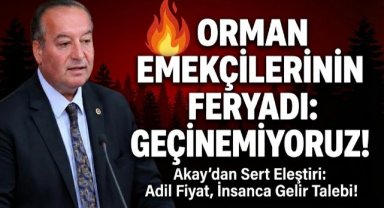 Cevdet Akay: Orman Emekçileri Yoksulluğa Mahkûm Ediliyor
